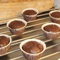 a batch of shrunk chocolate cupcakes on a tray