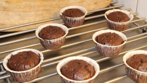 a batch of shrunk chocolate cupcakes on a tray