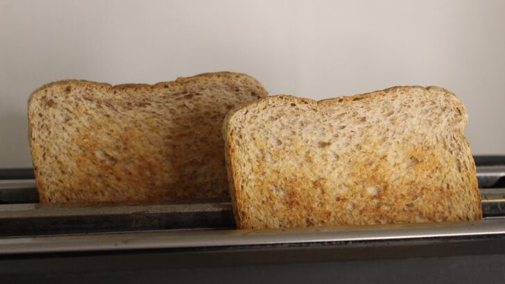 Why Does Bread Shrink in the Toaster?