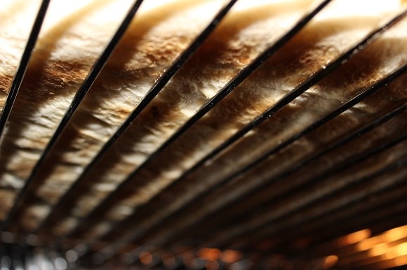 a close up of the underside of a baking pizza on the oven rack